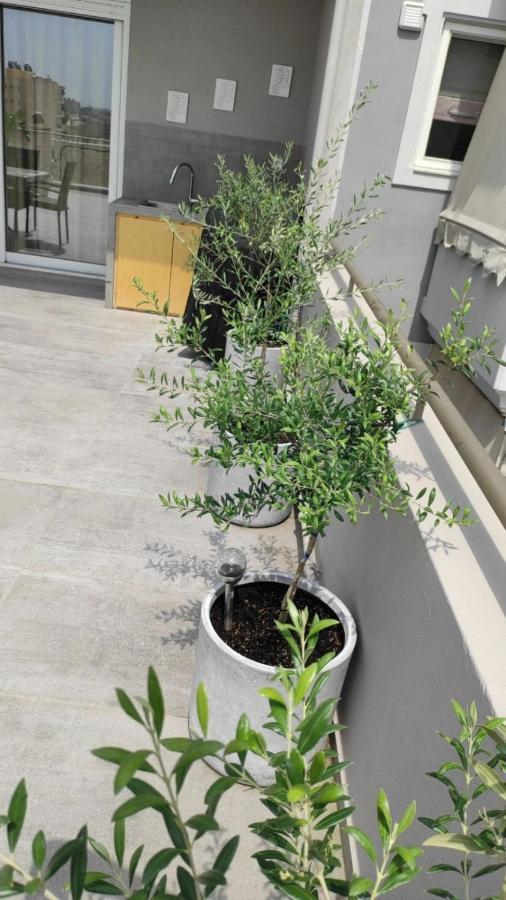 My Home In Greece أثينا المظهر الخارجي الصورة